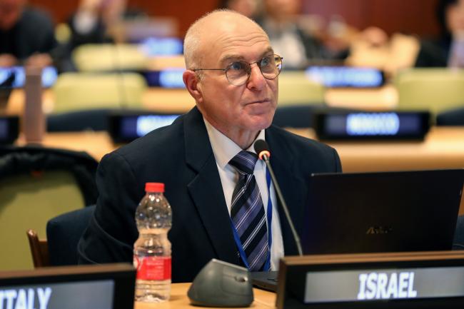 Simon Nemtzov, Israel
