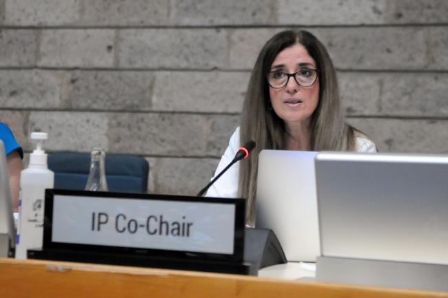 IP Co-Chair Judith Torres, Uruguay
