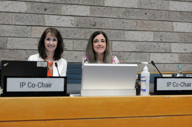 IP Co-Chairs Kay Williams, UK, and Judith Torres, Uruguay