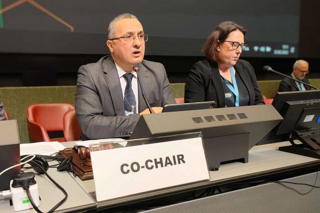  OEWG-13 Co-Chair Karim Ouamane, Algeria, opens the final plenary session.