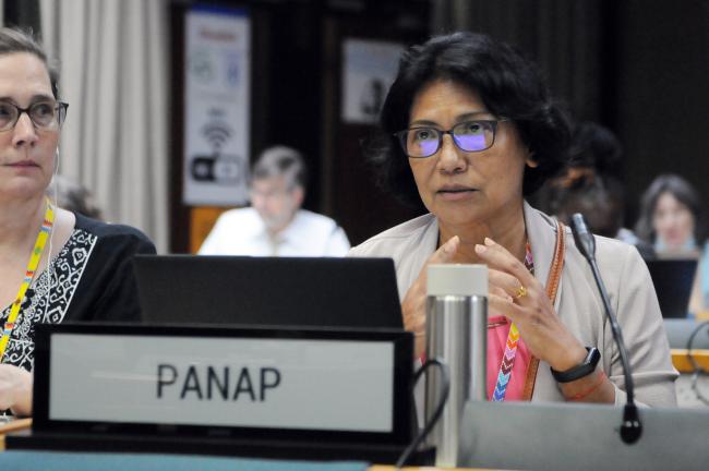 Sarojeni Rengam, PANAP