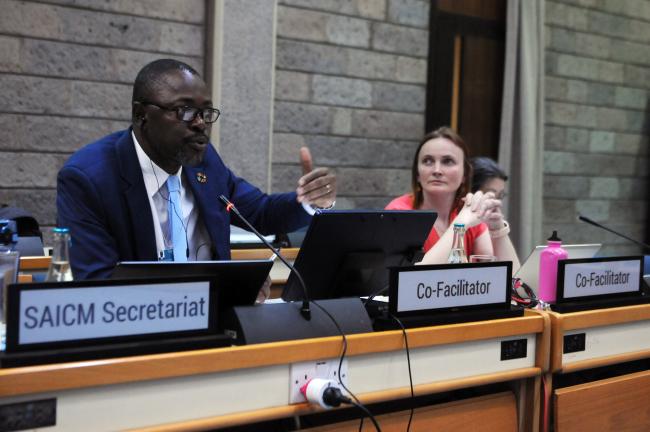 Co-Facilitators of Thematic Group 1 Serge Molly Allo'o Allo'o, Gabon, and Mari-Liis Ummik, Estonia