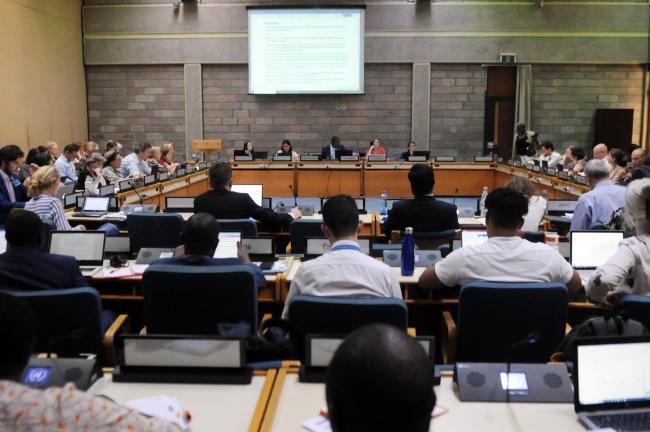 Delegates meet in the afternoon for Thematic Group 1