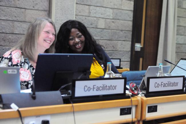 Thematic Group 2 Co-Facilitators share a laugh during the Thematic Group