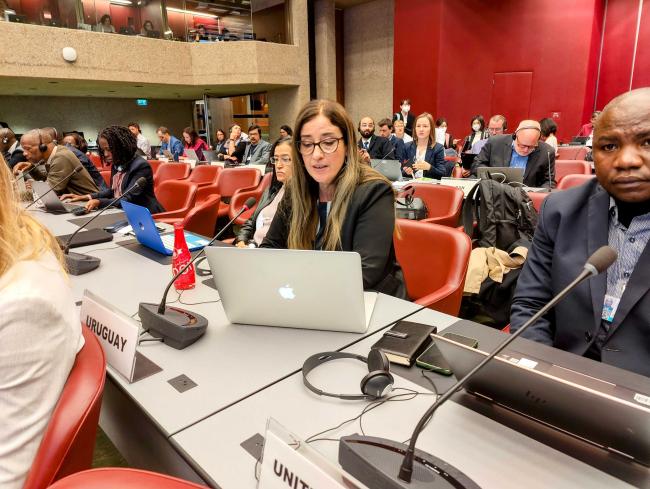 Uruguay, on behalf of the Latin America and Caribbean Group (GRULAC)