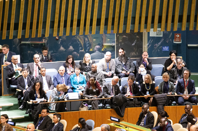 Participants during plenary