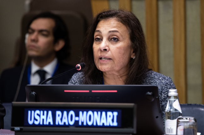 Usha Rao-Monari, United Nations Development Programme (UNDP) - UNWater2023 - 24March2023 - Photo
