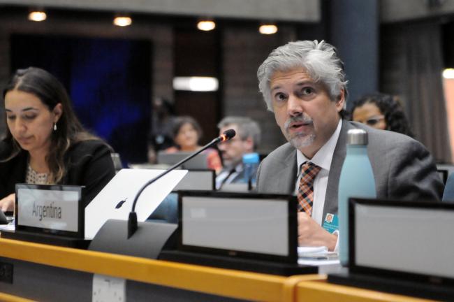 Alejandro Torres Lepori, Argentina