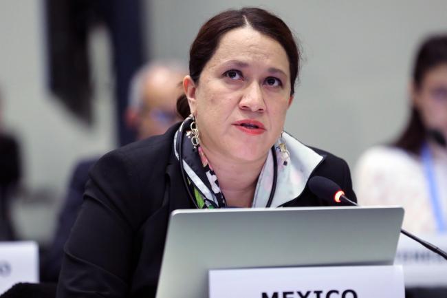 Claudia Alejandra Octaviano Villasana, Mexico 