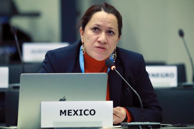 Claudia Alejandra Octaviano Villasana, Mexico 