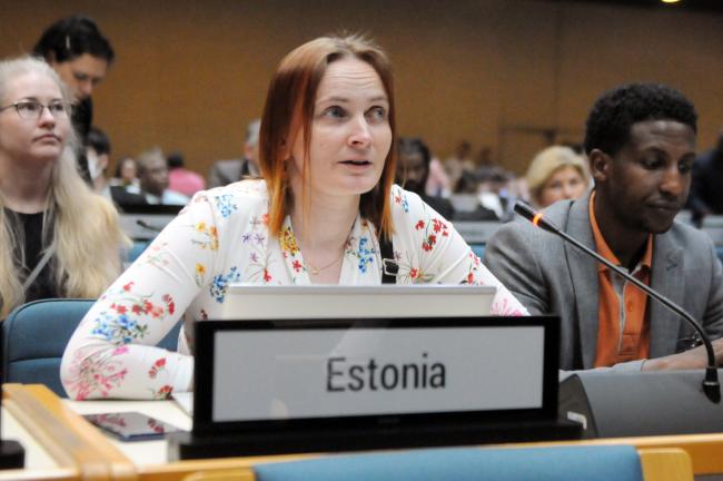 Co-Facilitator of Thematic Group 1 Mari-Liis Ummik, Estonia