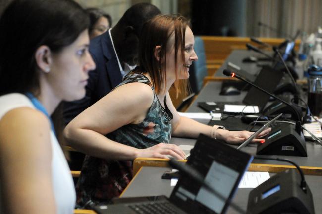 Co-Facilitator of Thematic Group 1 Mari-Liis Ummik, Estonia