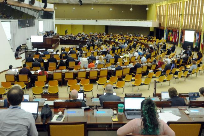 Council members gather for the second day of the Informal Working Group on institutional matters