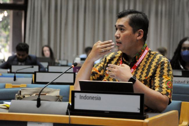 Danny Rahdiansyah, Indonesia