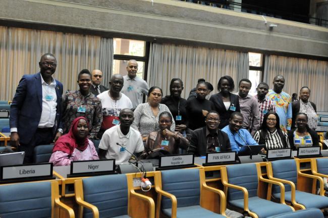 Delegates from the African Region