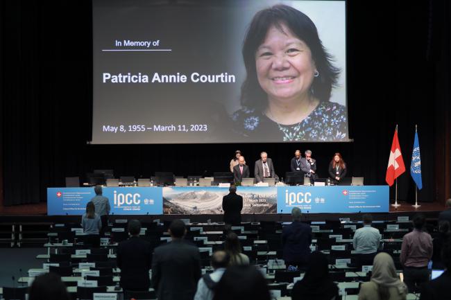 Delegates observed a moment of silence requested by the IPCC Chair Hoesung Lee in memory of Patricia Annie 