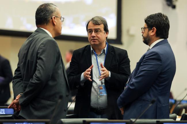 André Abreu de Almeida, UN Economic and Social Council
