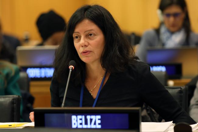 Janine Coye-Felson, Belize, facilitated the informal discussions on MGRs, including questions on benefit-sharing