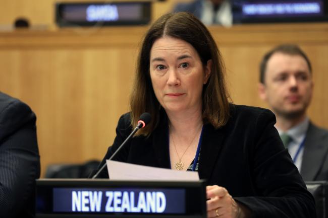 Victoria Hallum, New Zealand, reported on the discussions on implementation and compliance, and dispute settlement