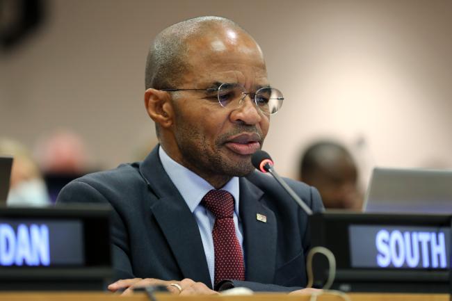 Thembile Joyini, South Africa, reported on the informal discussions on institutional arrangements