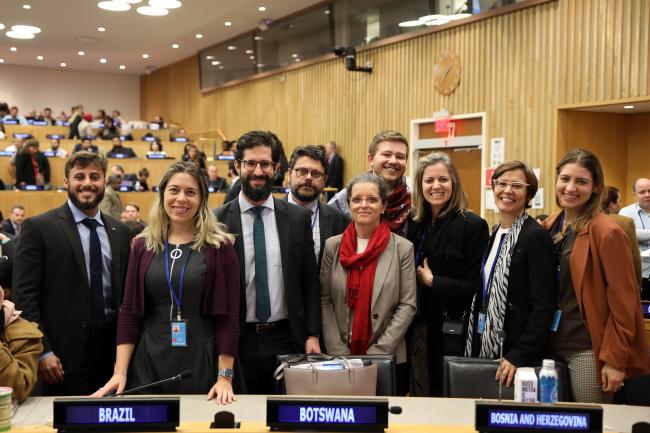 The Brazilian delegation