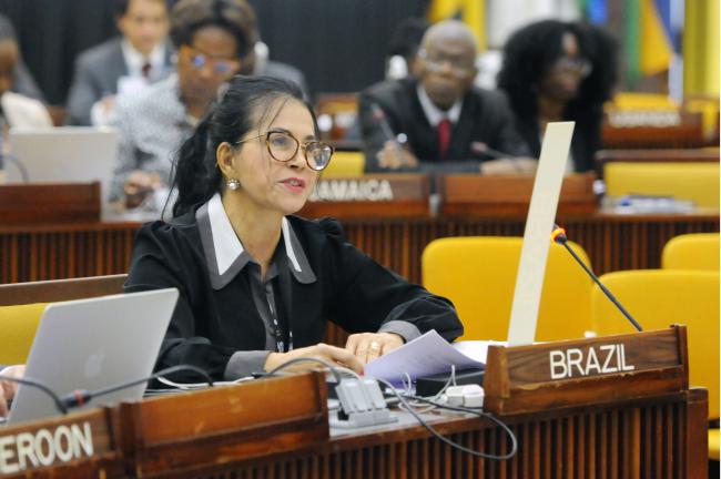 Elza Moreira Marcelino de Castro, Brazil