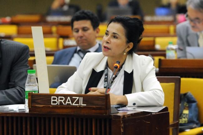 Elza Moreira Marcelino de Castro, Brazil
