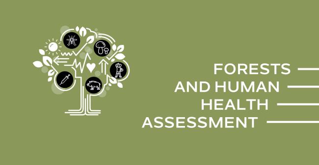 Forests and Human Health Assessment