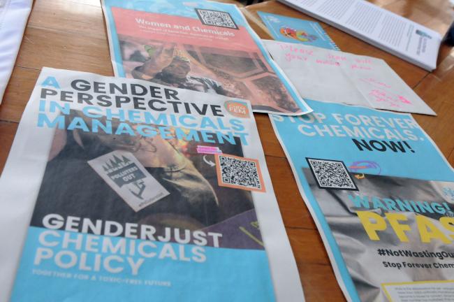 Gender in Chemicals Management