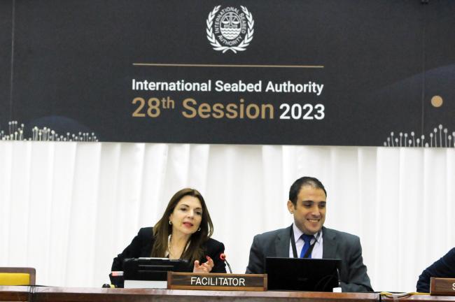Working Group Facilitators Gina Guillén Grillo, Costa Rica, and Salvador Vega Telias, Chile