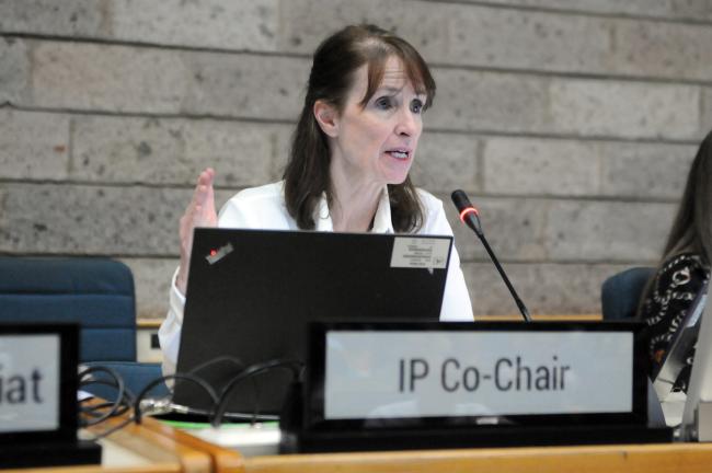 IP Co-Chairs Kay Williams, UK