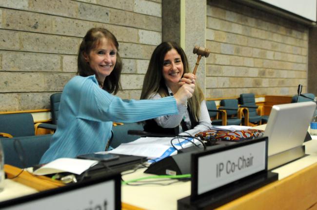 IP Co-Chairs Kay Williams, UK, and Judith Torres, Uruguay