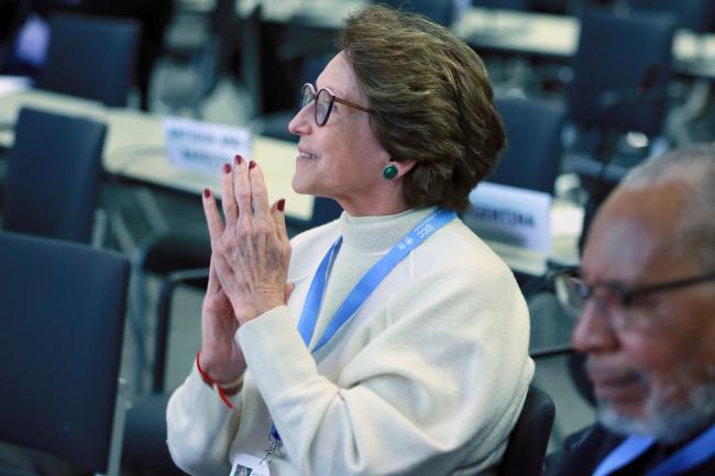 IPCC Vice-Chair Thelma Krug celebrating the approval of a paragraph 