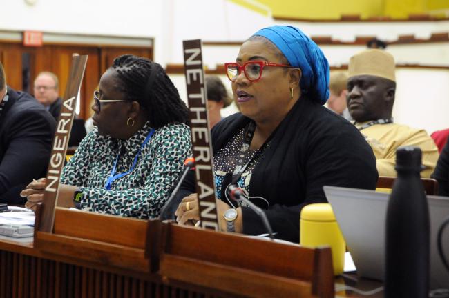 Maureen Tamuno, High Commissioner of Nigeria to Jamaica