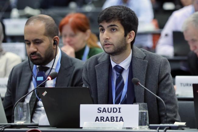 Mohammad Ayoub, Saudi Arabia 