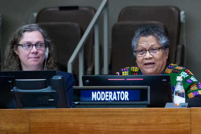 Myrna Cunningham, Indigenous Peoples Major Group on Sustainable Development in Latin America and the Caribbean