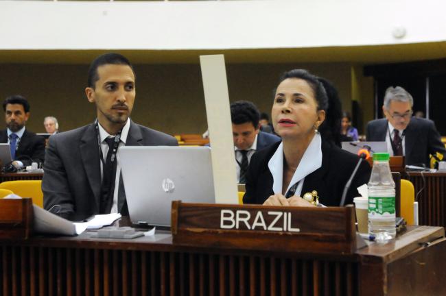 Pedro Martins Simões and Elza Moreira Marcelino de Castro, Brazil