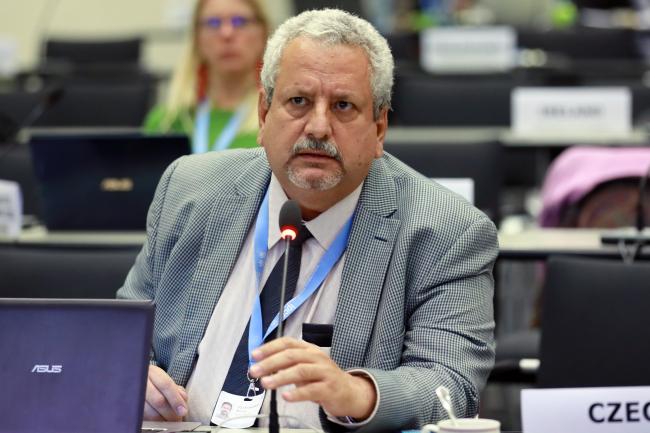 Ramón Pichs-Madruga, WGIII Vice-Chair 