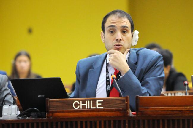 Co-facilitator of the Working group on institutional matters Salvador Vega Telias, Chile