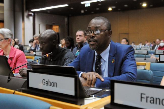 Thematic Group 1 Co-Facilitator Serge Molly Allo’o Allo’o, Gabon