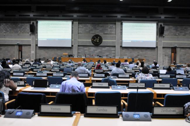 Delegates during Thematic Group 1