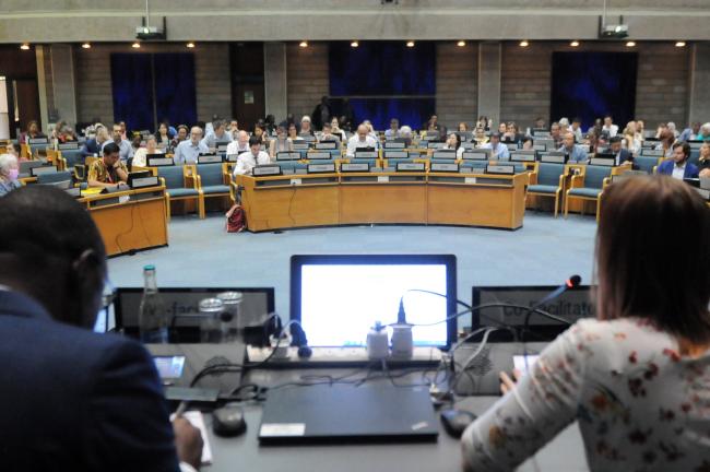 Delegates from Thematic Group 2 meet for the 4th day