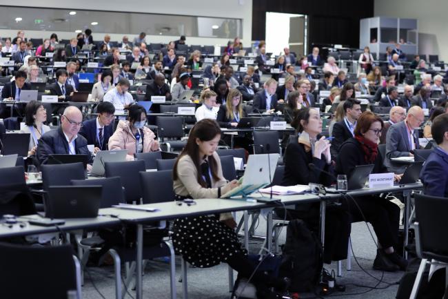 View of the room during the afternoon plenary