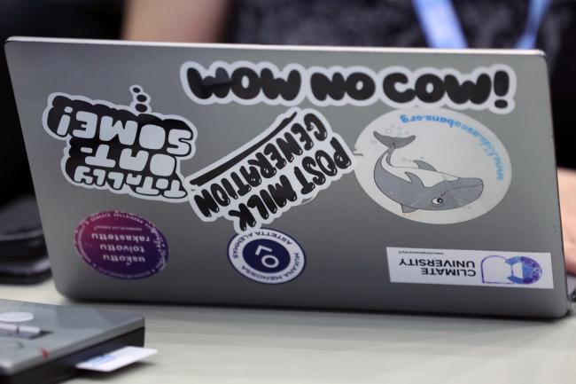 Wow No Cow 