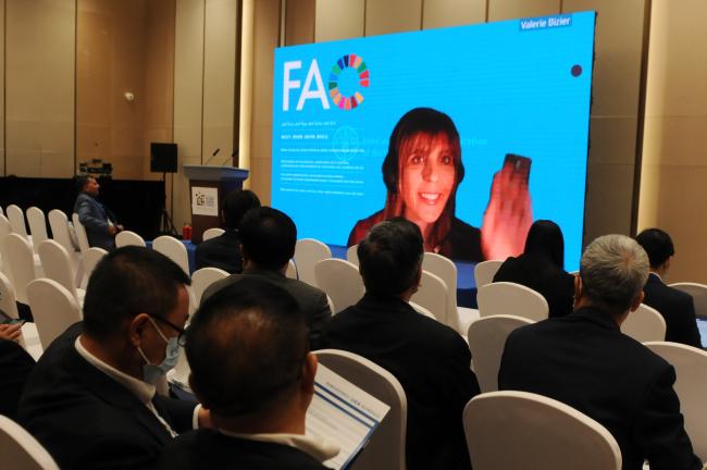 Valerie Bizier, Food and Agriculture Organization of the UN (FAO)