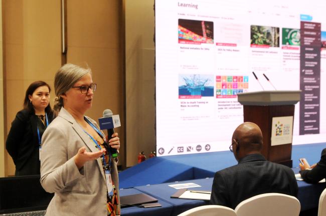 Vibeke Oestreich Nielsen, UNSD