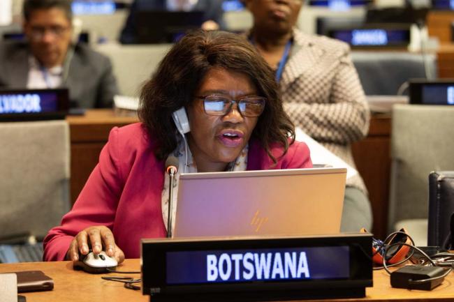 Botswana - UNFF18 - 10May2023 - Photo