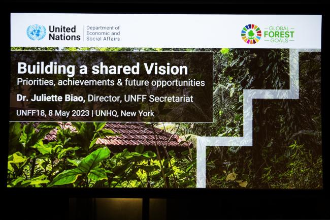 Buidling a shared vision