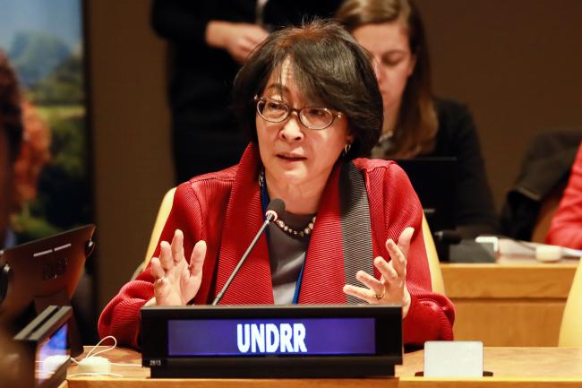 Mami Mizutori, Special Representative of the UN Secretary-General for Disaster Risk Reduction