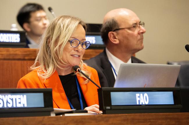 Malgorzata Buszko-Briggs, FAO - UNFF18 - 9May2023